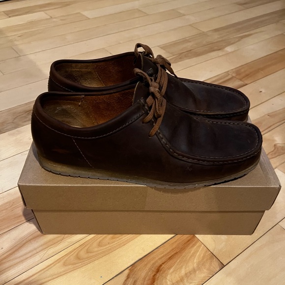 Clark’s wallabies - Picture 1 of 5